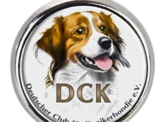 Pin DCK